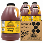 Honey Feast Orange Blossom honey 4-pack of 6lb frosted HDPE plastic jugs with wide black screw caps, shown with the branded shipping carton on a white background.