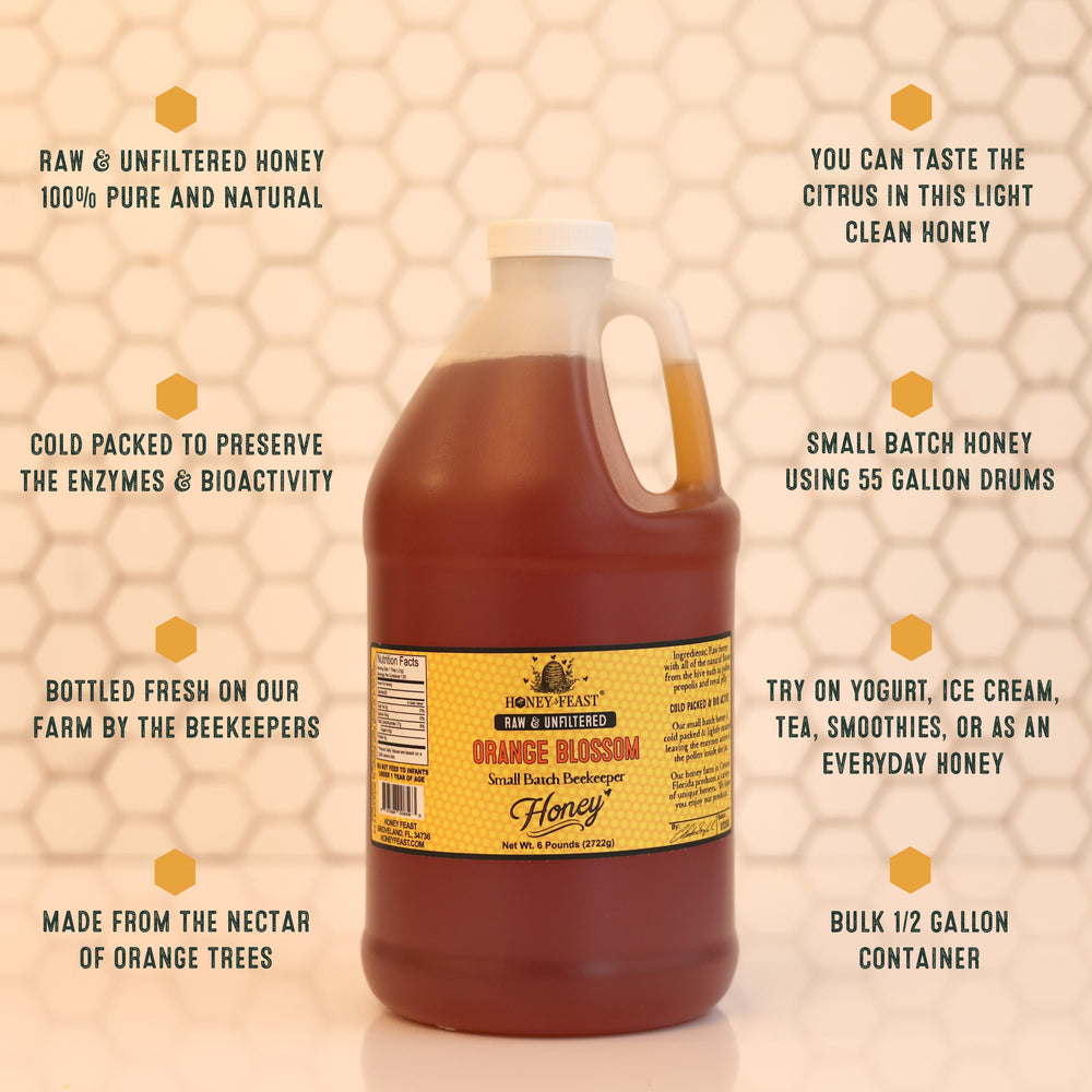 HONEY FEAST Raw Orange Blossom Honey - 6lb Bulk Honey, All Natural, Unfiltered, Unheated Honey from Oranges, Perfect for Sweetening & Baking