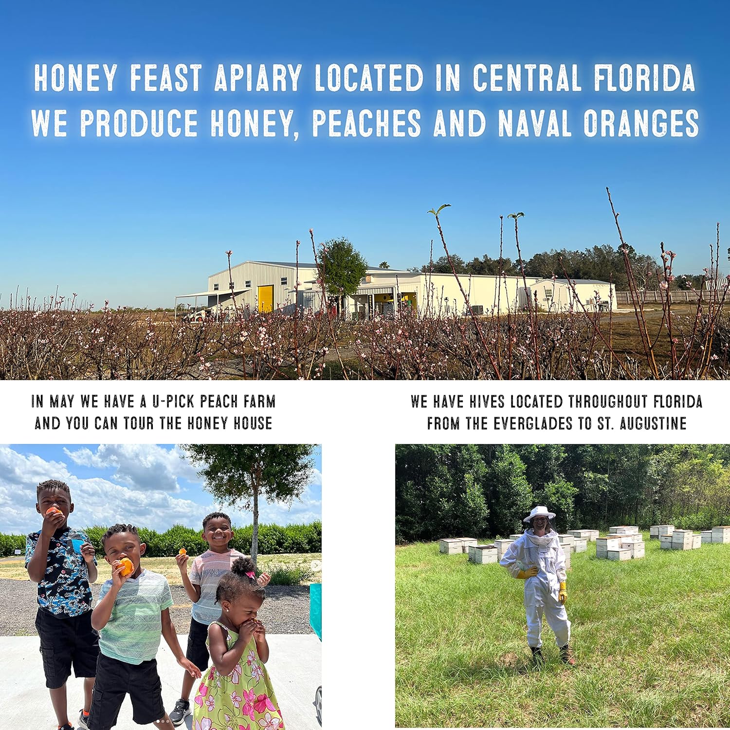 Truffle Honey 12oz 48-Pack