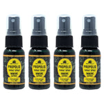 Honey Feast Propolis Throat Spray 4-pack