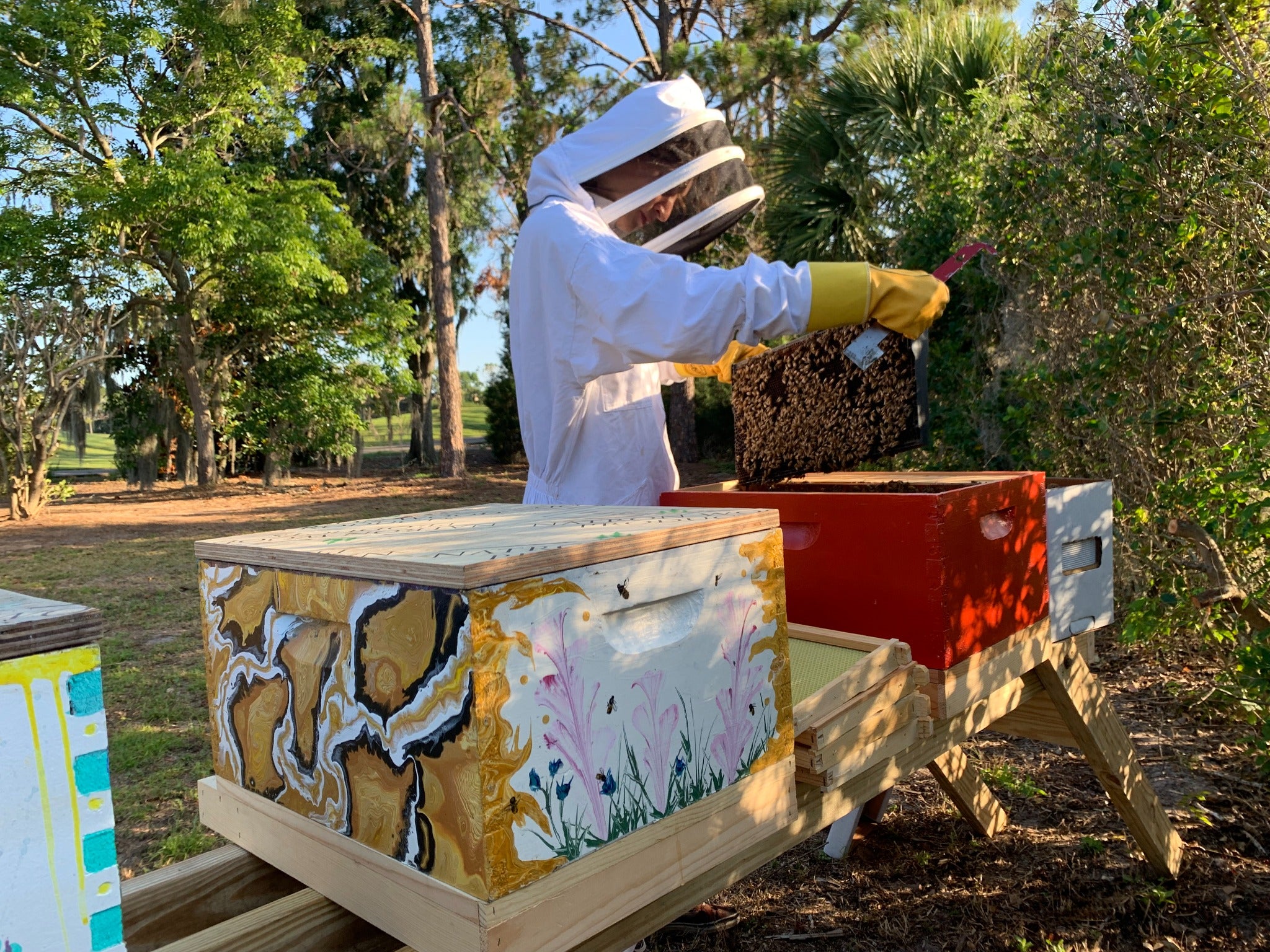 Honey Feast beekeeper working a hive