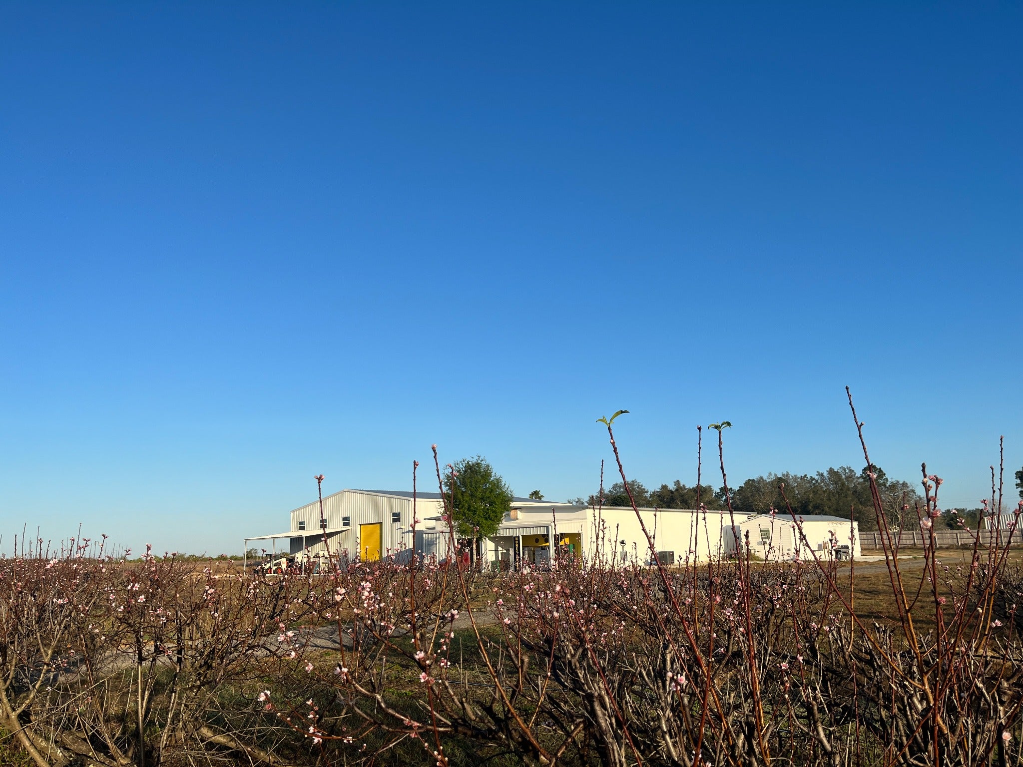 Honey Feast farm in Clermont Florida