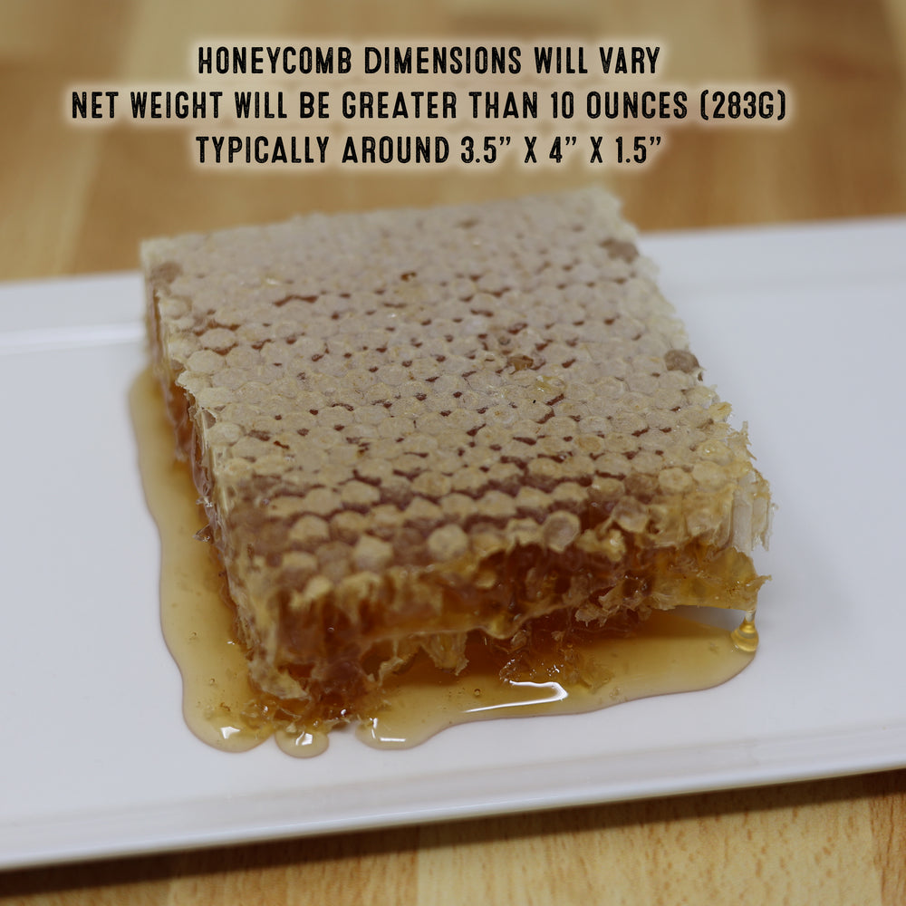 Florida Honey Feast 11oz Pure Honeycomb  Square - Raw Edible Honey Comb, Natural Unfiltered Honey