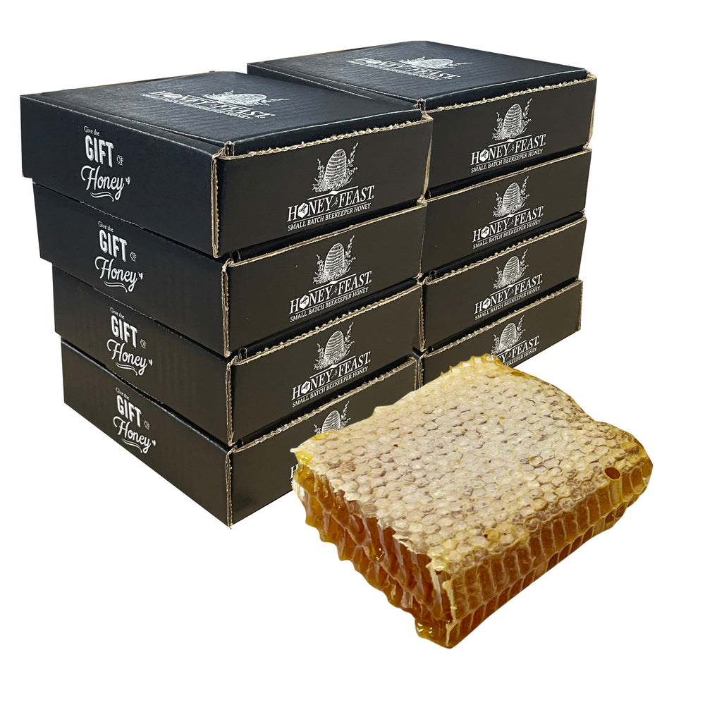8-Pack Honey Feast Florida Honeycomb 11oz - Natural Edible Honey Combs, Pure Raw Unfiltered Honey Squares