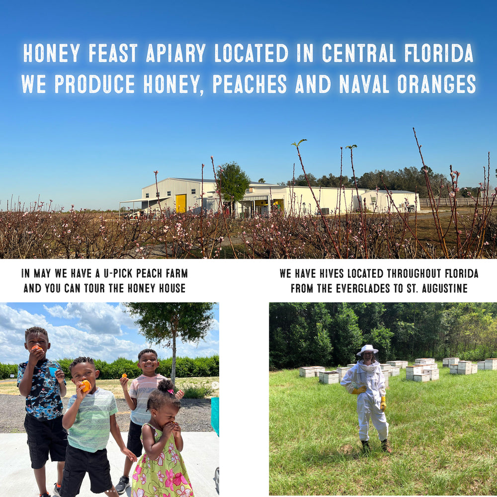 Honey Feast Island Honey 12oz - Indulge in Raw & Unfiltered Small Batch Beekeeper's Delight