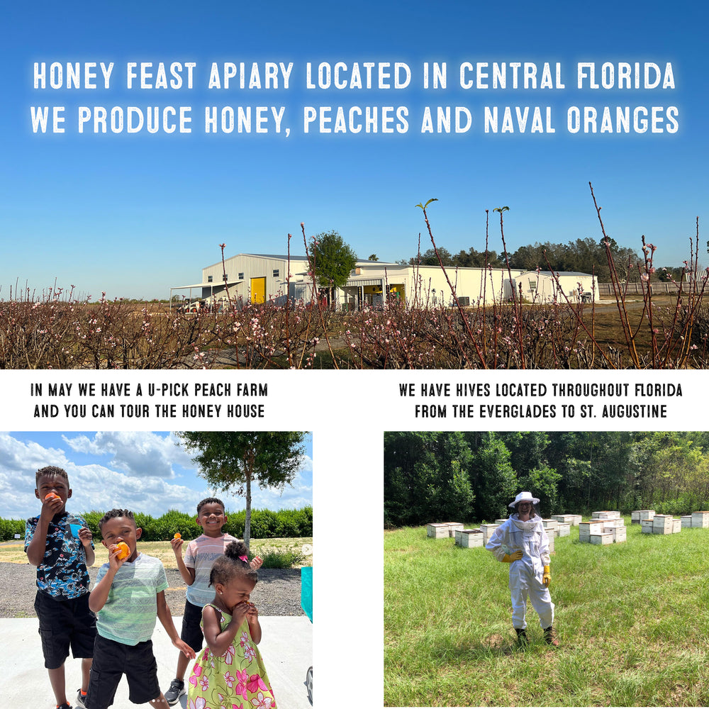 
            
                Load image into Gallery viewer, HONEY FEAST Ginger Honey, 12oz | Natural Ginger Root Infused Raw Honey | Unfiltered Florida Honey | Perfect for Tea and Cooking
            
        